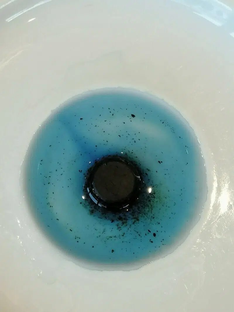 Spiruline BIO : Seau de 1500 Comprimés (750g) – Image 3